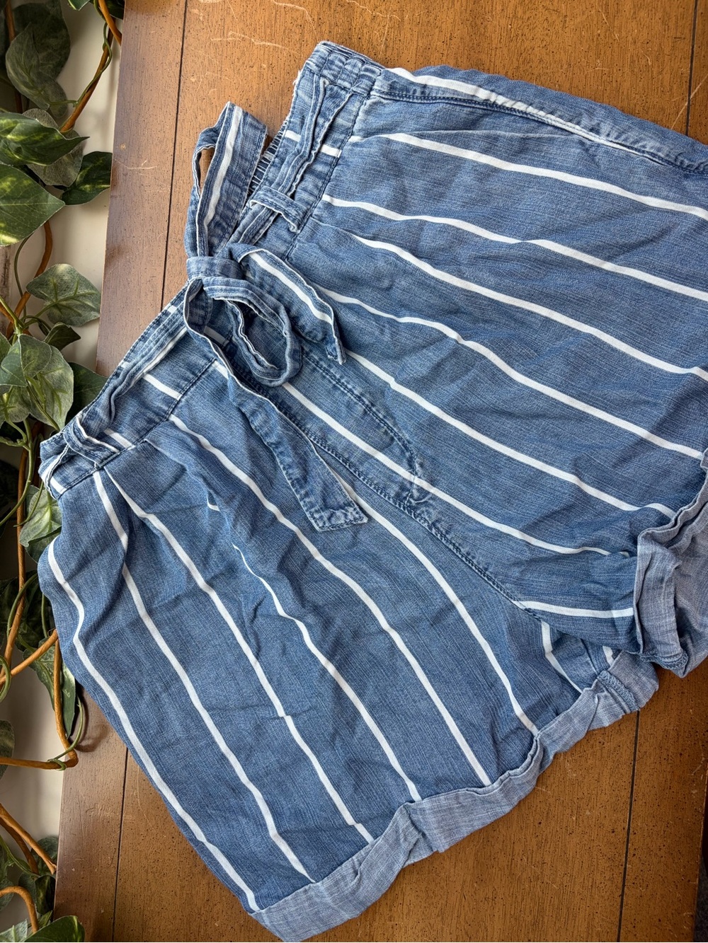 Blue Chambray Striped Paperbag Waist Shorts Tie Front Elastic Waist Medium